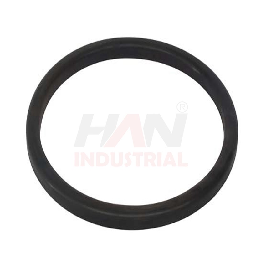 OEM 10004761 RUBBER RING SCHWING