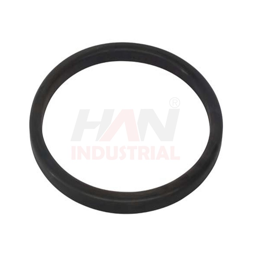OEM 10004761-1 RING RUBBER SCHWING