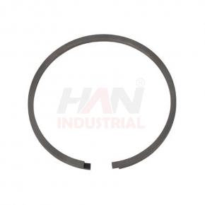 OEM 10007052 PISTON RING 120x3 SCHWING