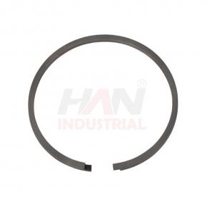 OEM 10007052 PISTON RING 120x3 SCHWING