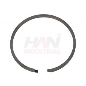 OEM 10007990 PISTON RING SCHWING