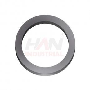 OEM 10006386 SEALING RING RADIAL SCHWING