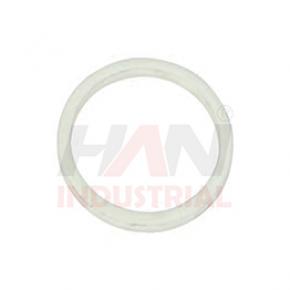 BACK-UP-RING OEM 063669006