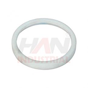 PISTON-GUIDE-RING OEM 259757007