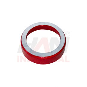 WEAR-RING OEM 258486007