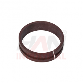 PM FI Guide ring 63*24 OEM 065976001