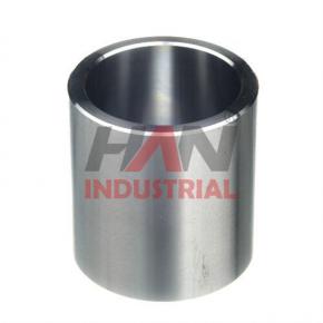 SCHWING Bushing h70x55/68 OEM 10013830