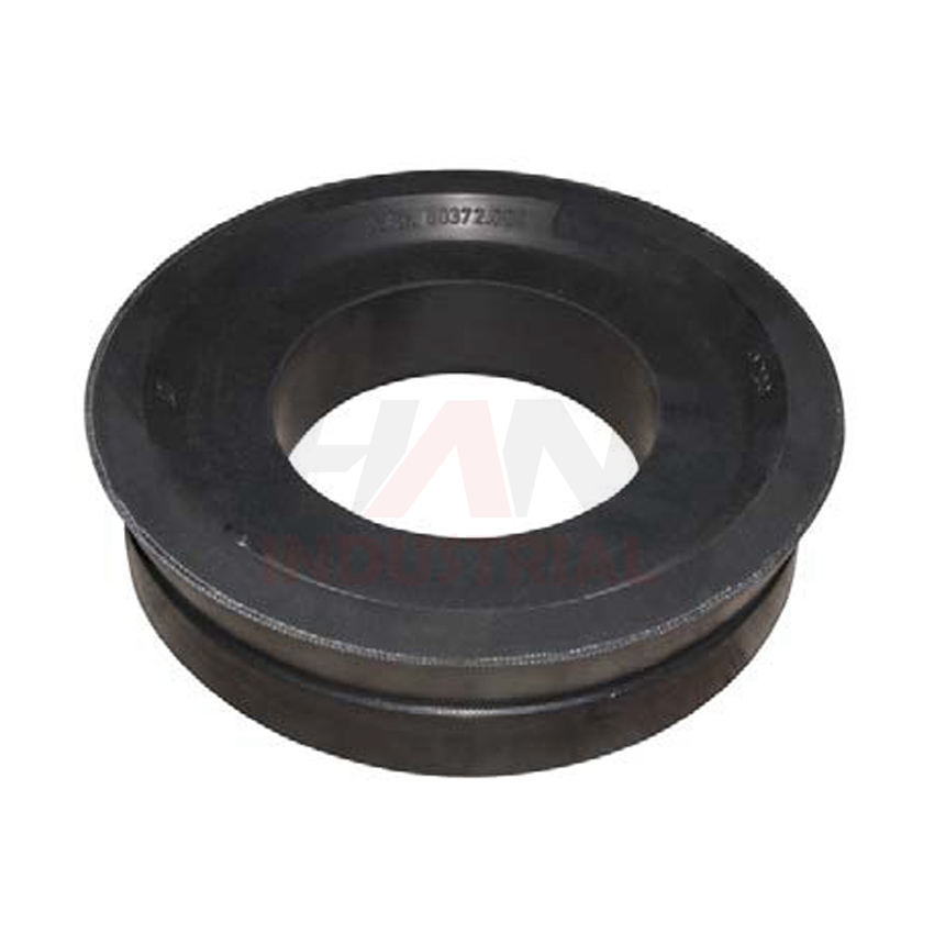 PISTON SEAL FOR RAM DN250 OEM#275059006.jpg