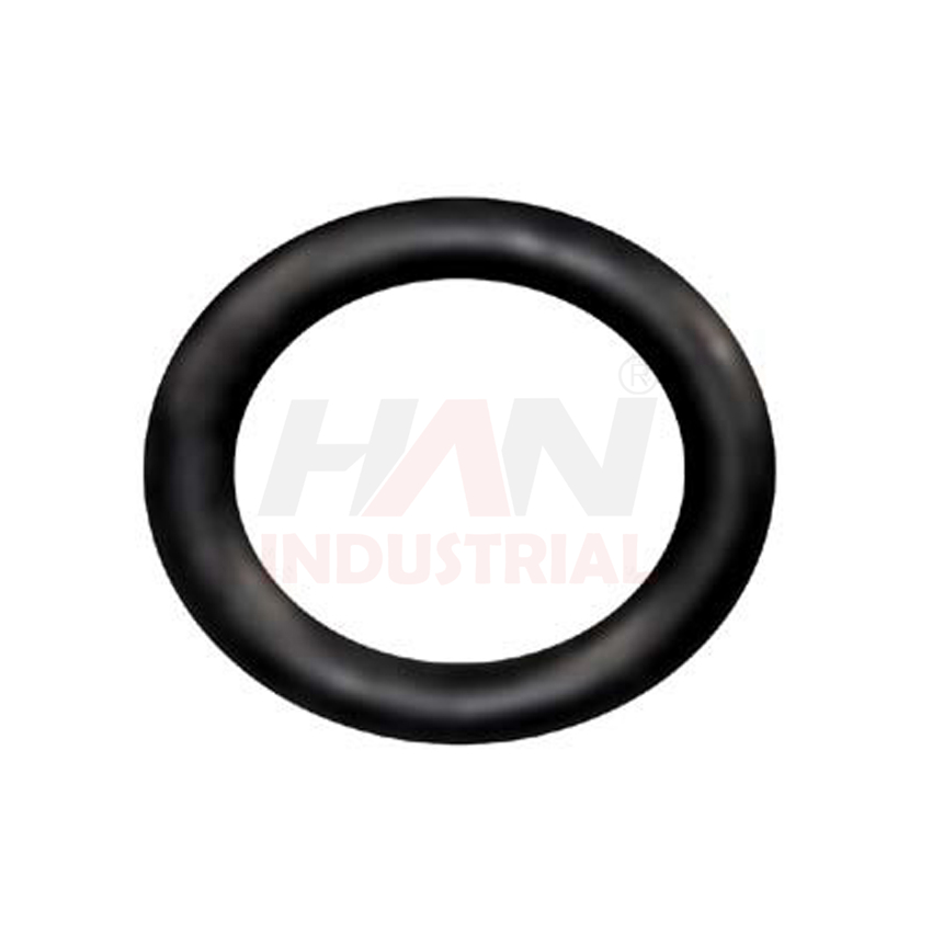 OEM 10001108 LACE RING 50-16 SCHWING.jpg