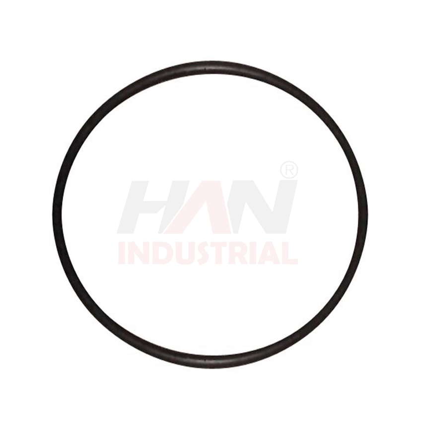 OEM 10000602 RUBBER RING 200-10 SCHWING.jpg