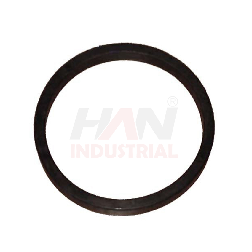 OEM 10006251 RUBBER RING FOR TUBE SCHWING.jpg