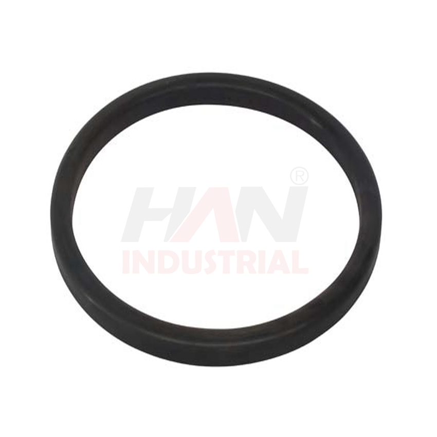 OEM 10004761-1 RING RUBBER SCHWING.jpg