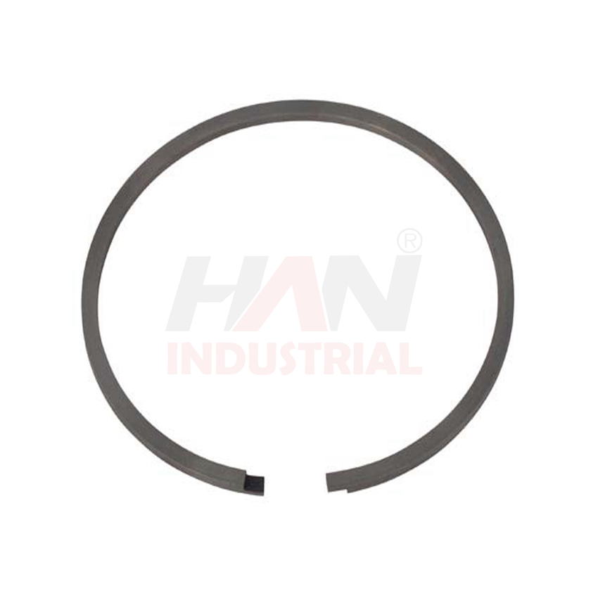 OEM 10007052 PISTON RING 120x3 SCHWING.jpg