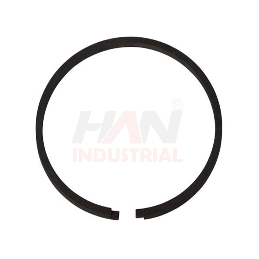 OEM 10007054 PISTON RING 125x4 SCHWING.jpg