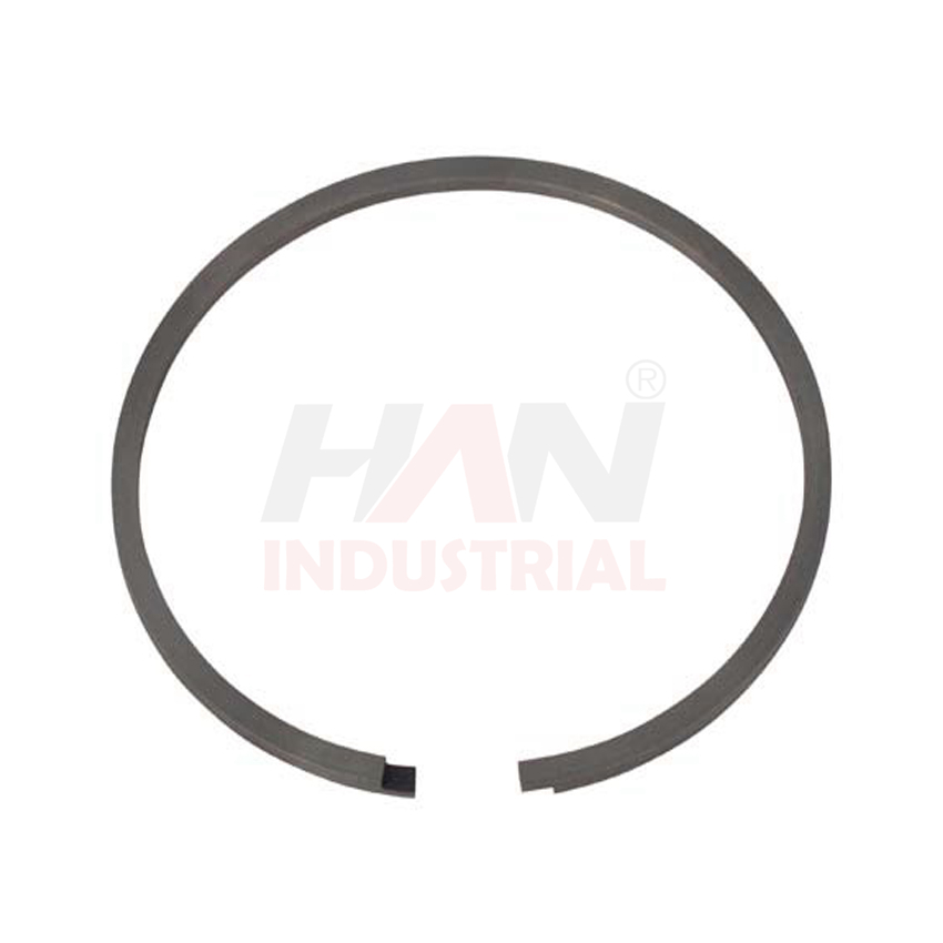 OEM 10007990 PISTON RING SCHWING.jpg