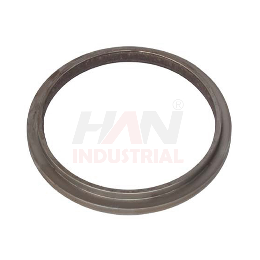 ANILLO-DE-RESPALDO-DN-220-SCHWING-OEM-10181915.jpg