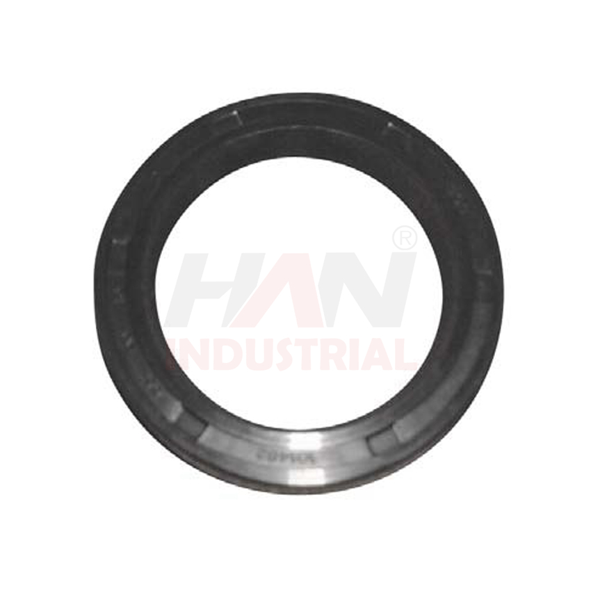 OEM 10004226 RADIAL SEALING RING SCHWING.jpg