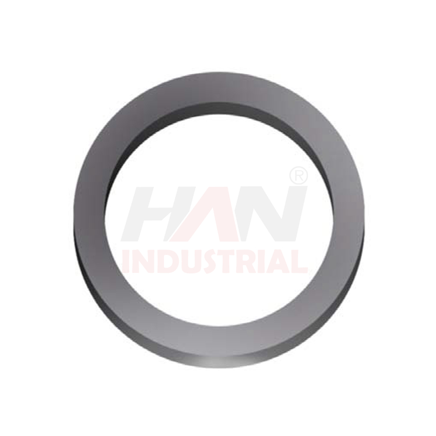 OEM 10006386 SEALING RING RADIAL SCHWING.jpg