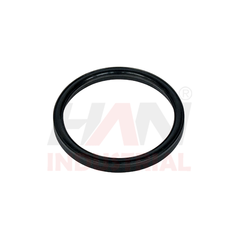 LIP-SEAL-RING-OEM#062954000.png