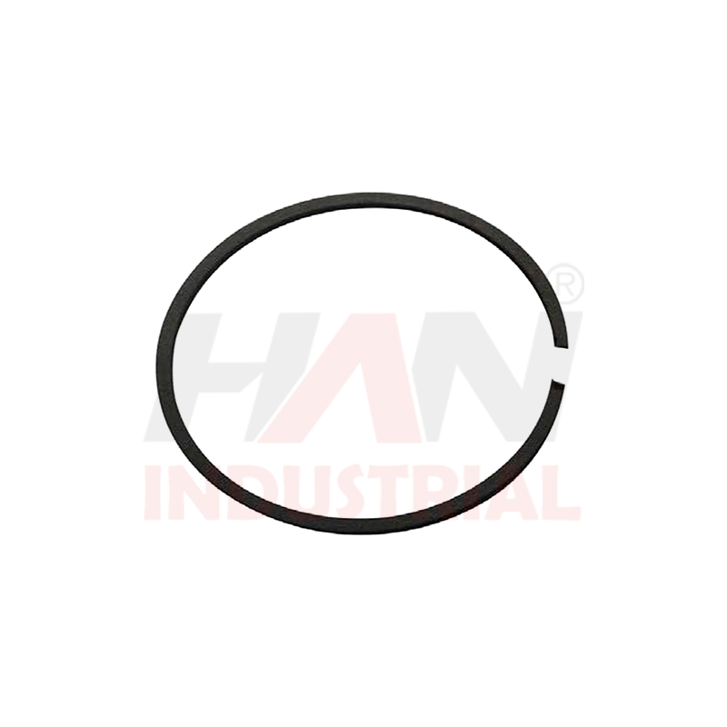 PISTON-RING-OEM#259760007.png