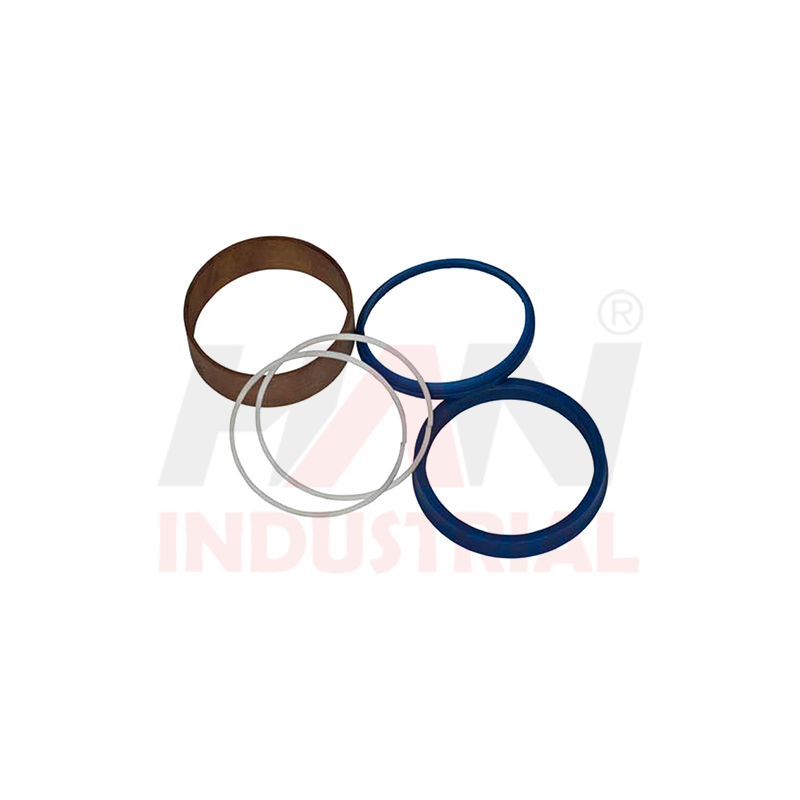 SEAL-SET-FOR-PLUNGER-CYLINDER-200-80-OEM#278901009KIT.png