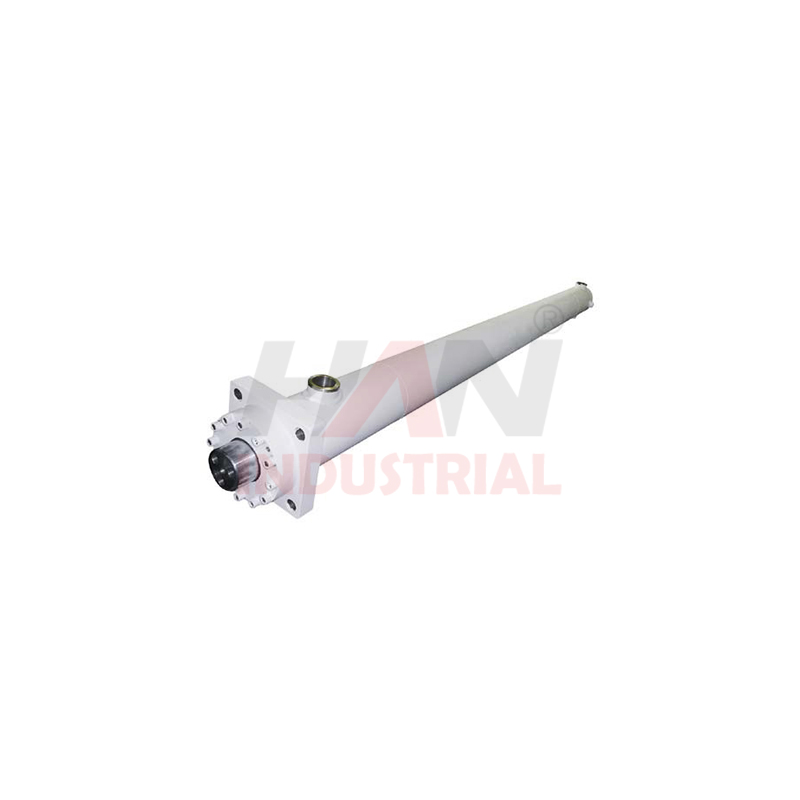 DIFFERENTIAL CYLINDER 110 63 SCHWING OEM 10002301.jpg